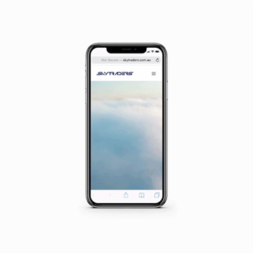 SkyTraders website