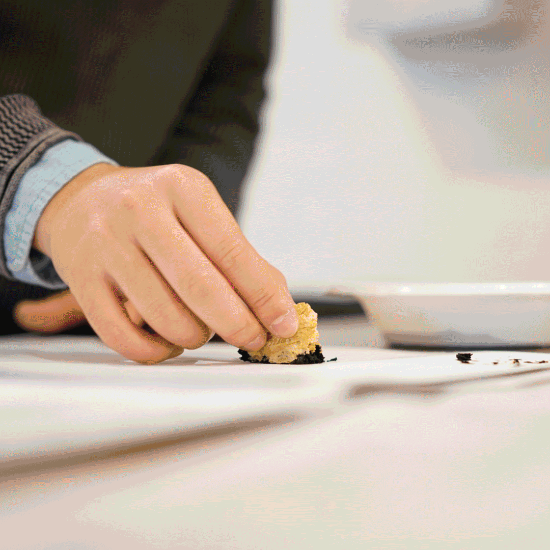 Weetbix used for painting